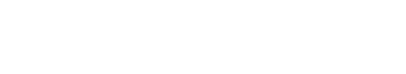 Expert Smart